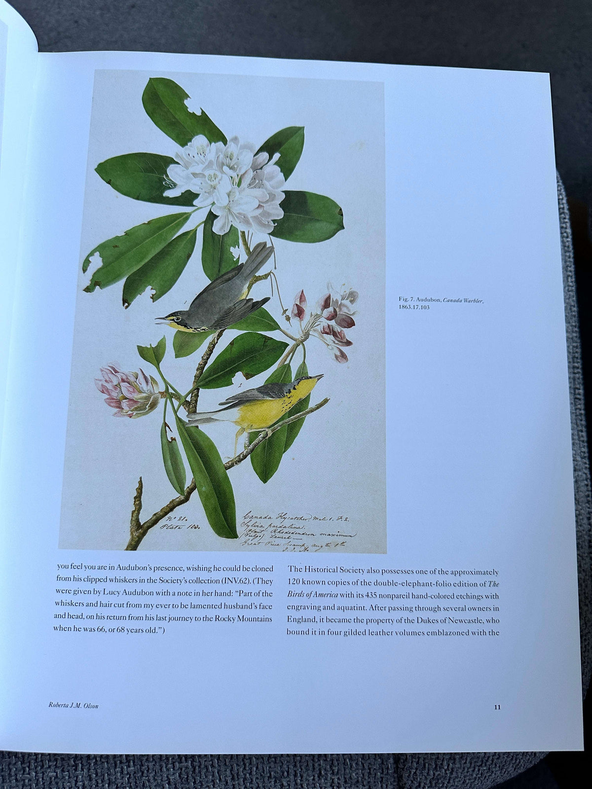 2012 Audubon’s Aviary The Original Watercolours For Birds Of America - Roberta J.M. Olson - Skira Rizzoli / New York Historical Society, New York. 33.5cm x 27cm 3kilo, 448pages