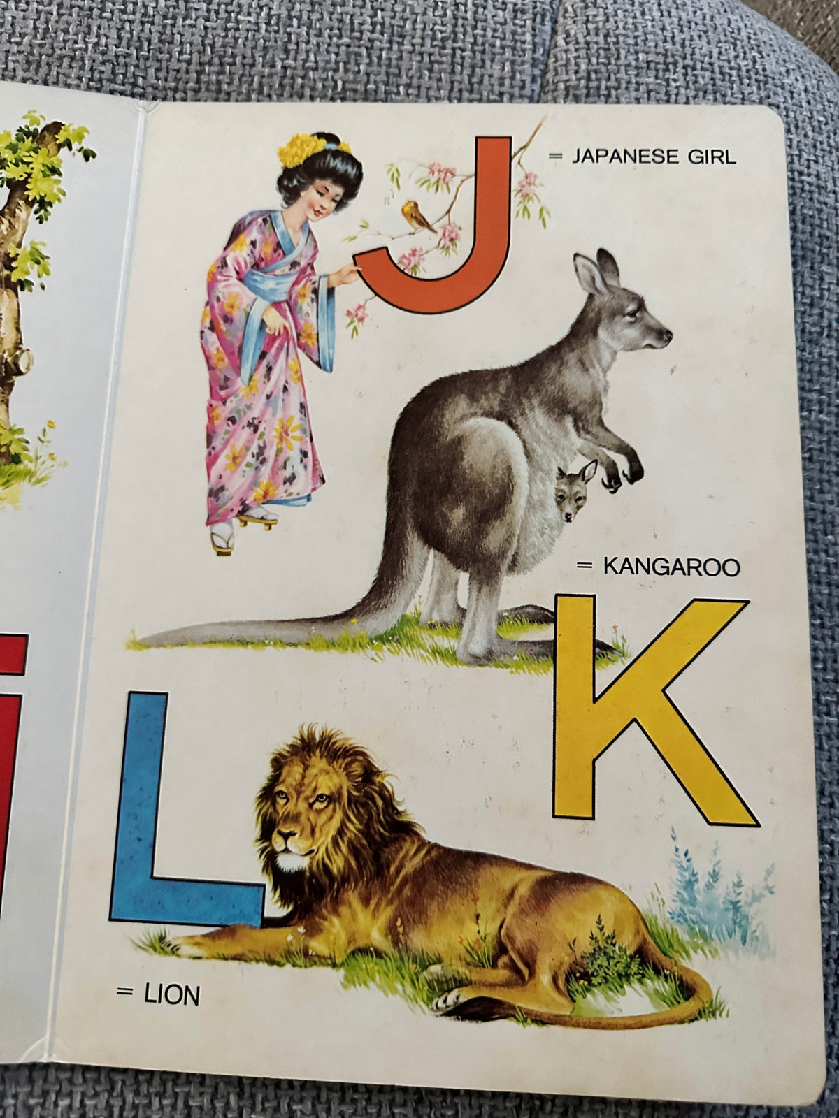 1950’s A. B. C. Board Book (W. F. Graham (Northampton) Ltd - Honeyburn Books (UK)