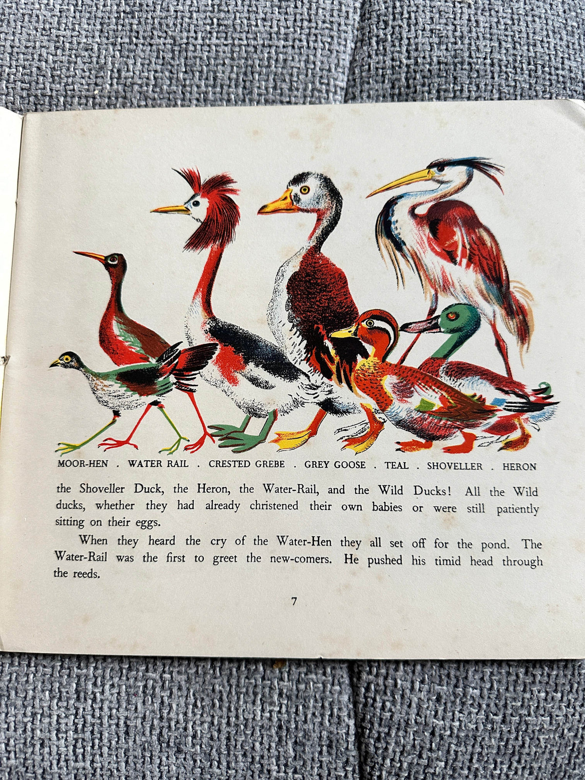 1954 Ploof The Wild Duck - Translated by Rose Fyleman (No3. Père Castor’s Wild Animal Books. George Allen & Unwin Ltd - Honeyburn Books (UK)