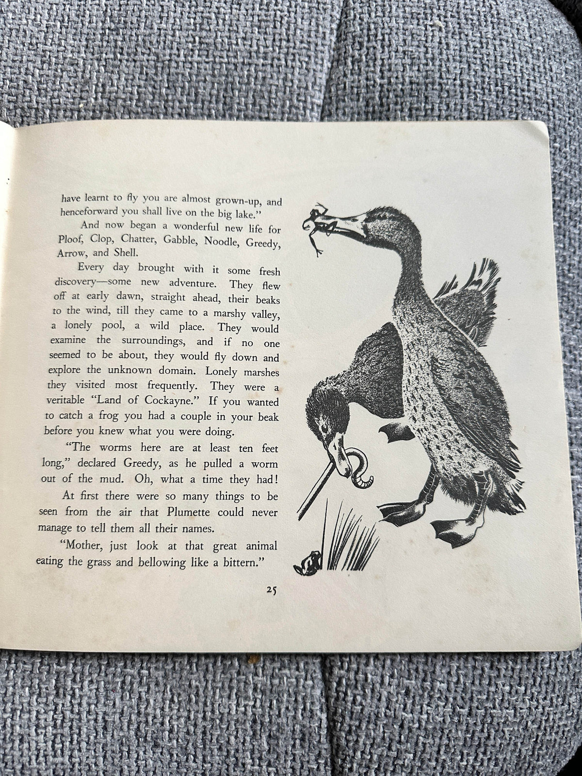 1954 Ploof The Wild Duck - Translated by Rose Fyleman (No3. Père Castor’s Wild Animal Books. George Allen & Unwin Ltd - Honeyburn Books (UK)