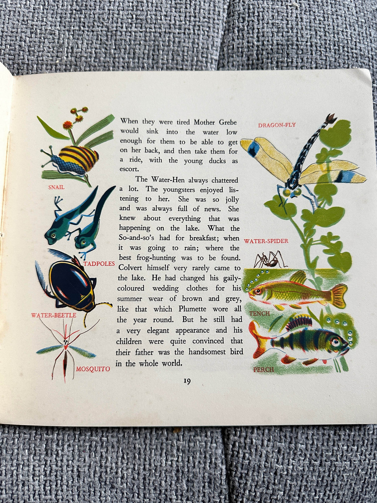 1954 Ploof The Wild Duck - Translated by Rose Fyleman (No3. Père Castor’s Wild Animal Books. George Allen & Unwin Ltd - Honeyburn Books (UK)