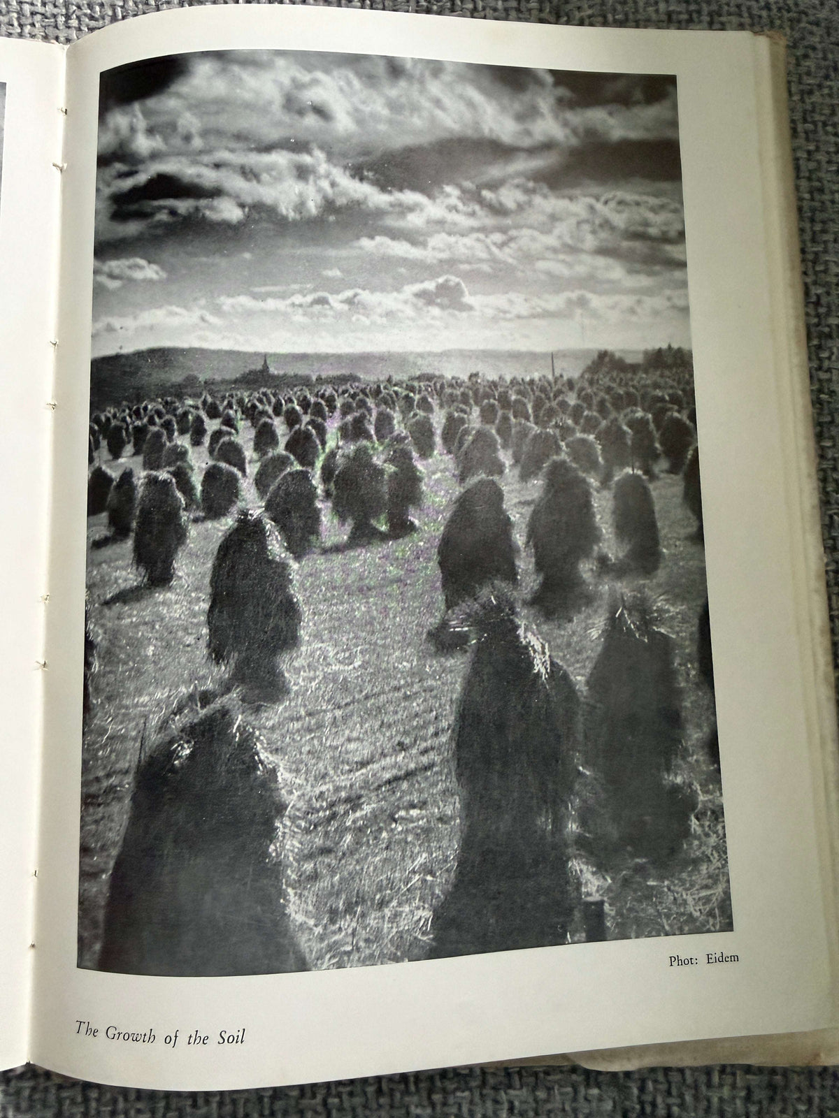 1948*1st* Sunshine In Wonderland - J. W. Eides Forlag