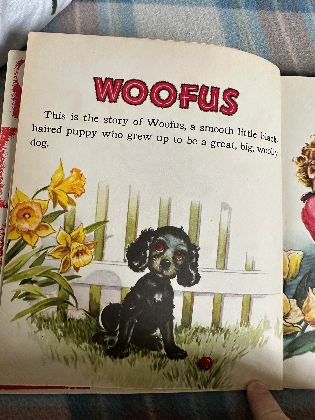 1950*1st* Woofus - Jane Curry(Illust Florence Sarah Winship) Raphael Tuck & Sons Ltd - Honeyburn Books (UK)