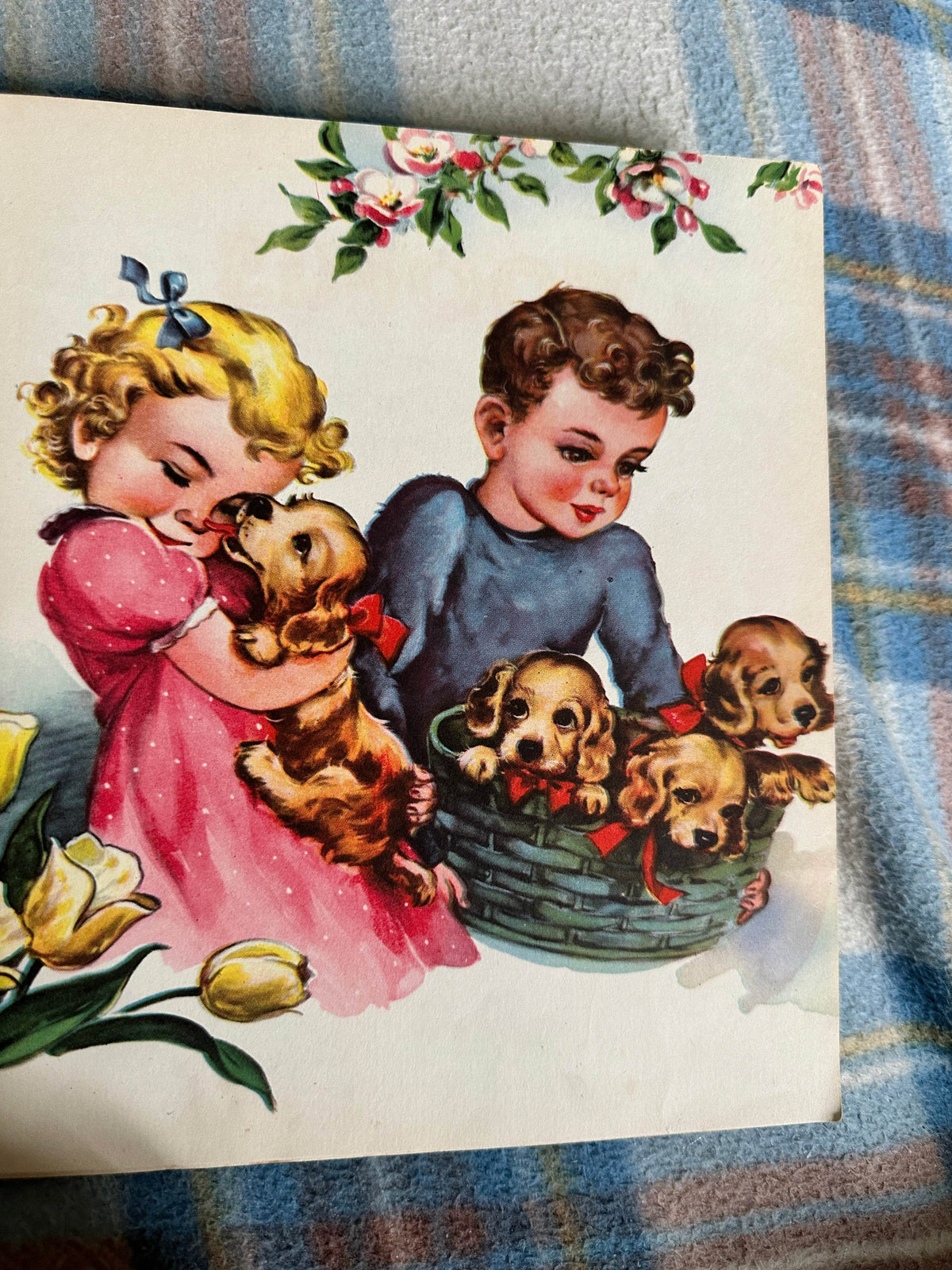 1950*1st* Woofus - Jane Curry(Illust Florence Sarah Winship) Raphael Tuck & Sons Ltd - Honeyburn Books (UK)