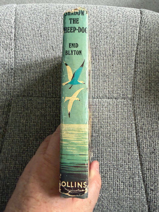 1955 Shadow The Sheep-Dog - Enid Blyton (G. W. Backhouse illust) Collins
