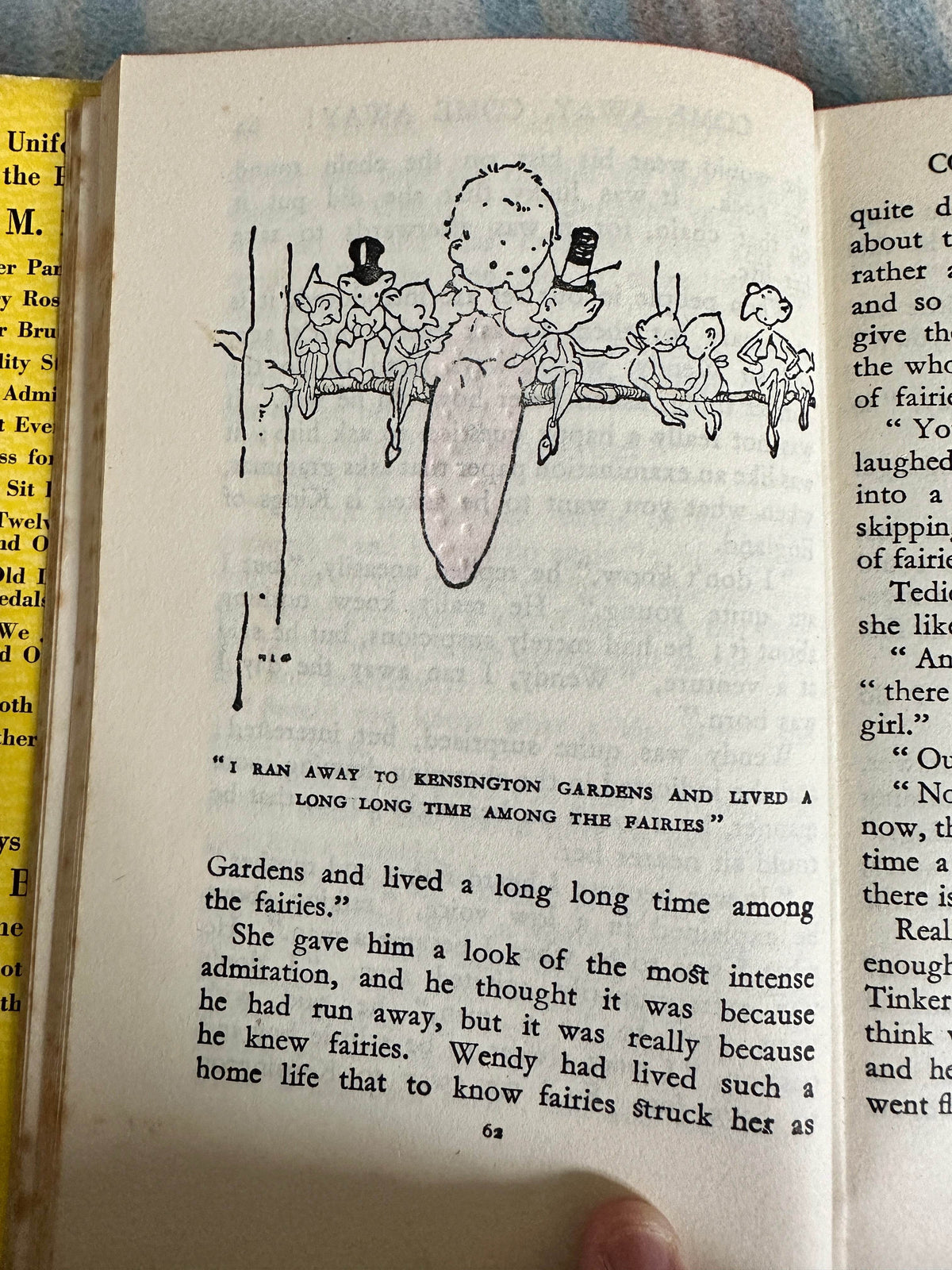 J.M. Barrie’s Peter Pan & Wendy(Uniform Edition) Hodder & Stoughton - Honeyburn Books (UK)