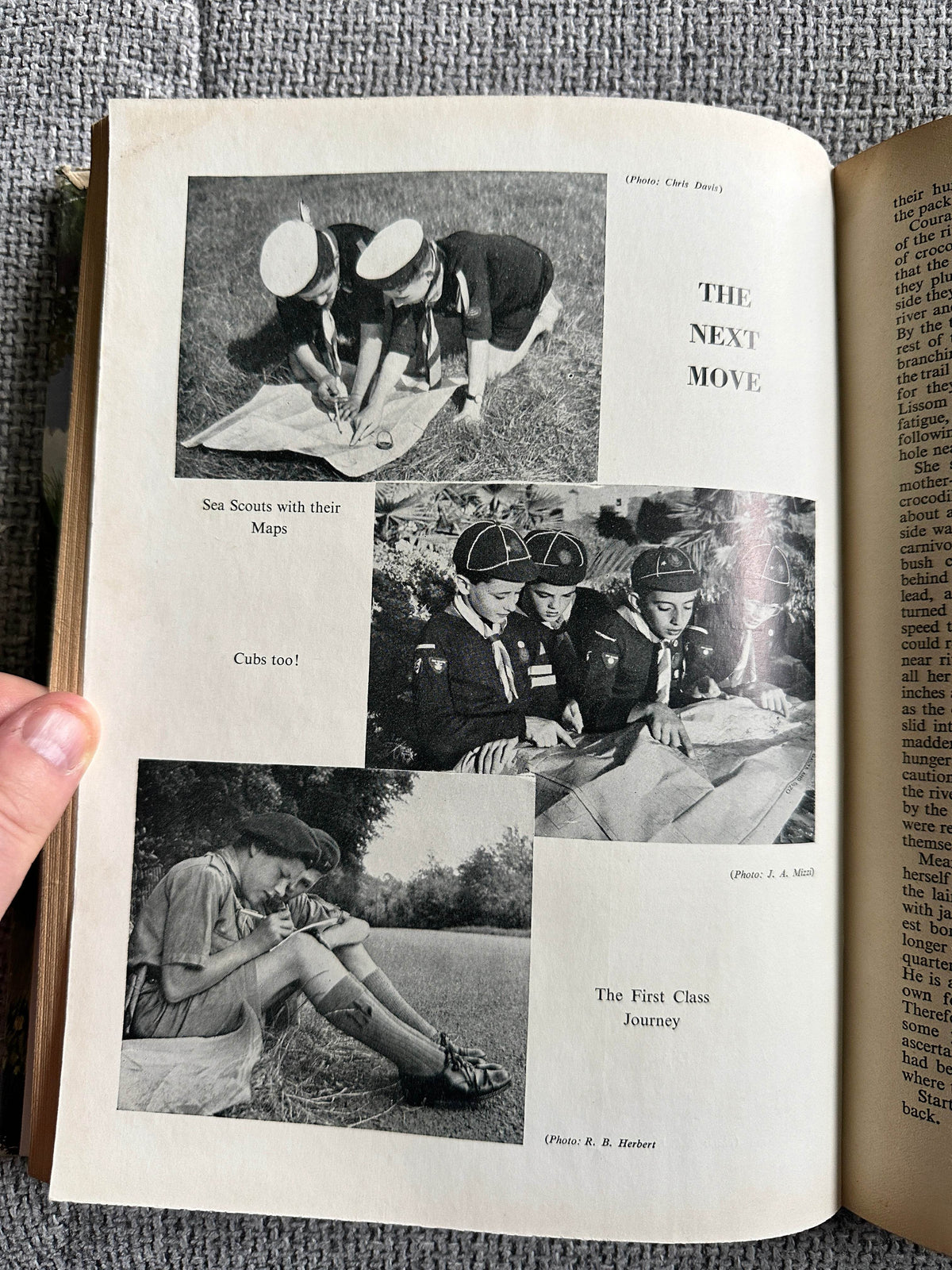 1958 The Scout Annual - Rex Hazlewood (Pearson Publishers) - Honeyburn Books (UK)