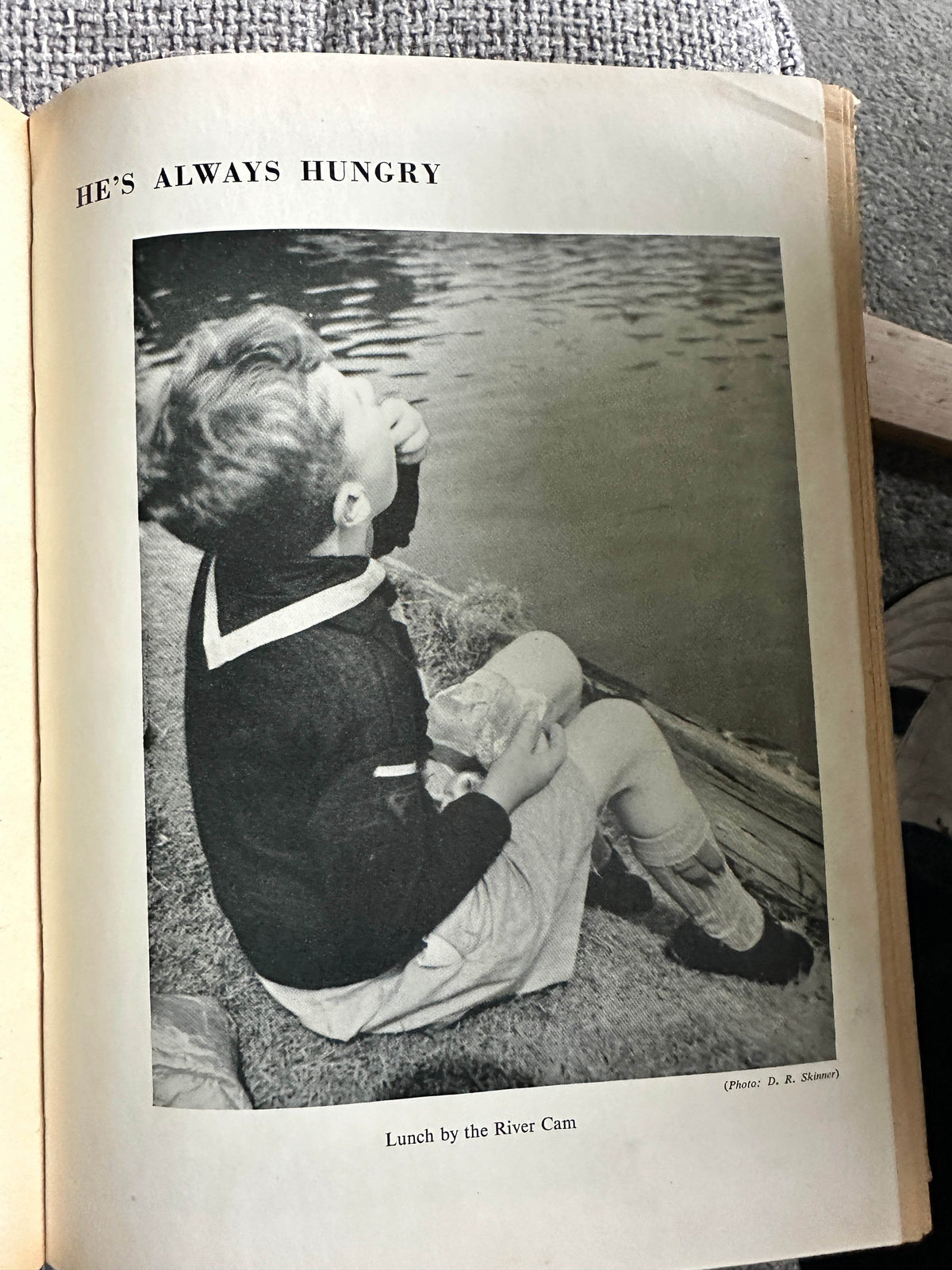 1958 The Scout Annual - Rex Hazlewood (Pearson Publishers) - Honeyburn Books (UK)