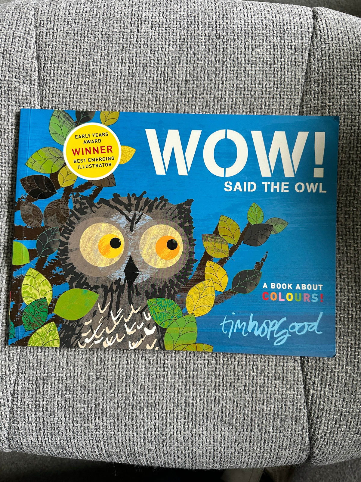 2009*1st* Wow! Said The Owl - Tim Hopgood (McMillan) - Honeyburn Books (UK)