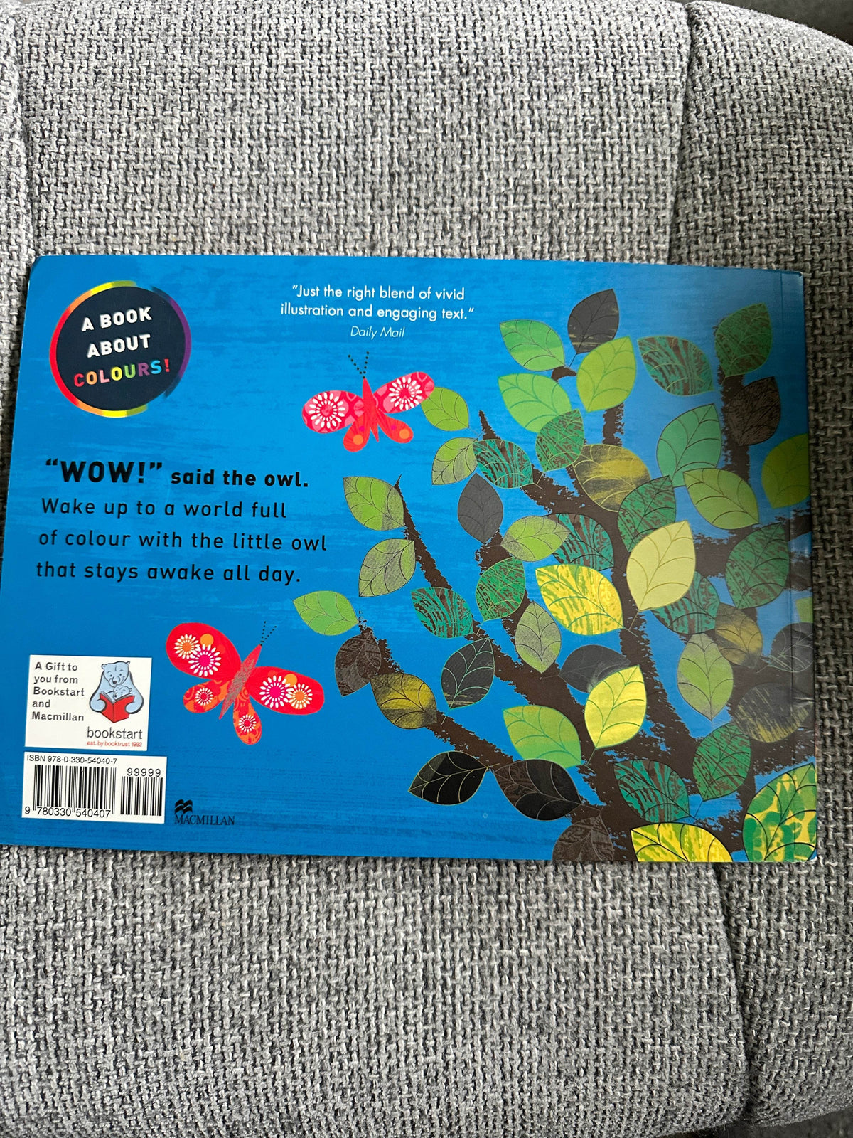 2009*1st* Wow! Said The Owl - Tim Hopgood (McMillan) - Honeyburn Books (UK)