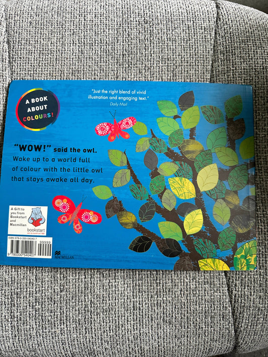 2009*1st* Wow! Said The Owl - Tim Hopgood (McMillan) - Honeyburn Books (UK)