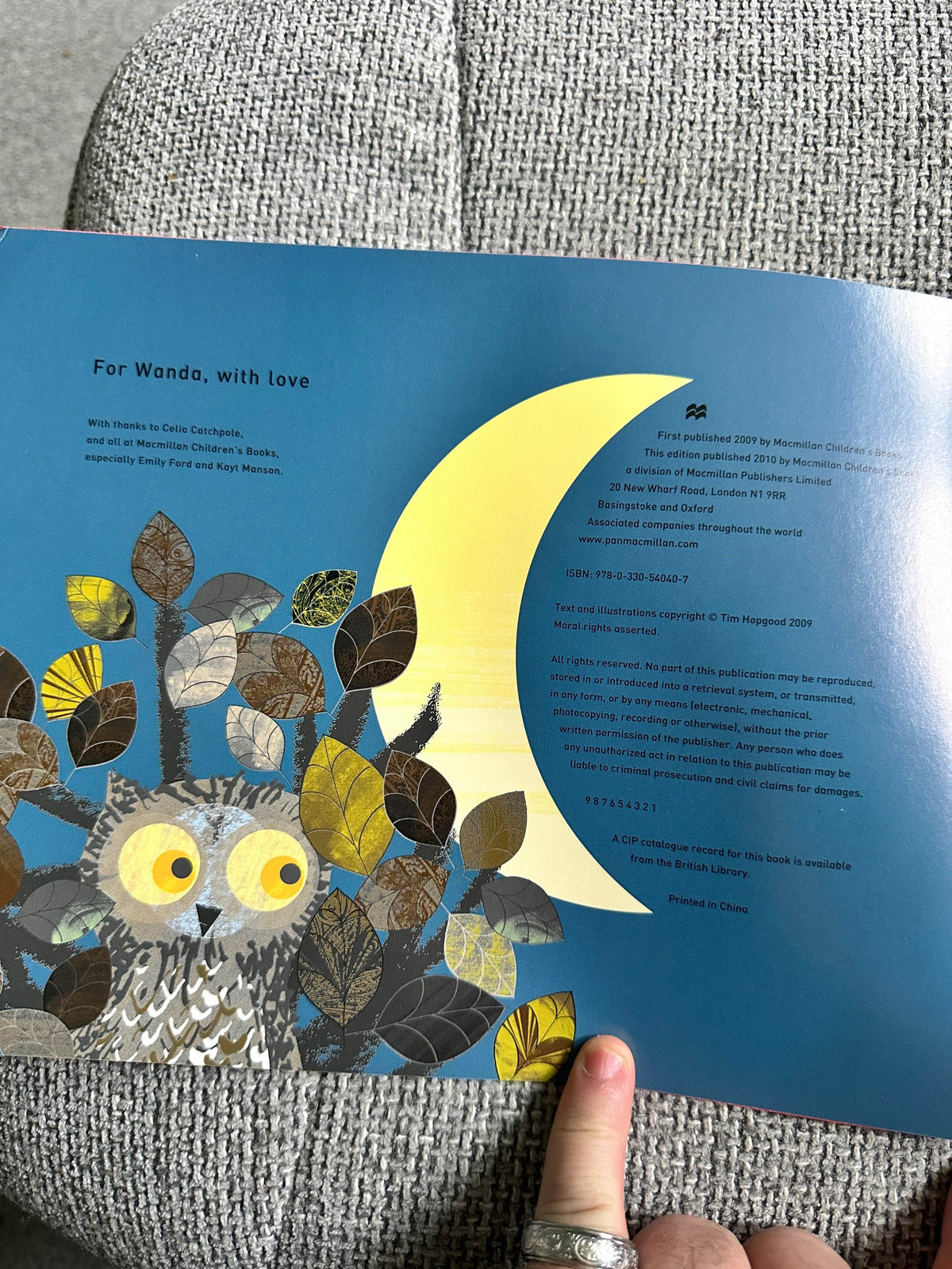 2009*1st* Wow! Said The Owl - Tim Hopgood (McMillan) - Honeyburn Books (UK)
