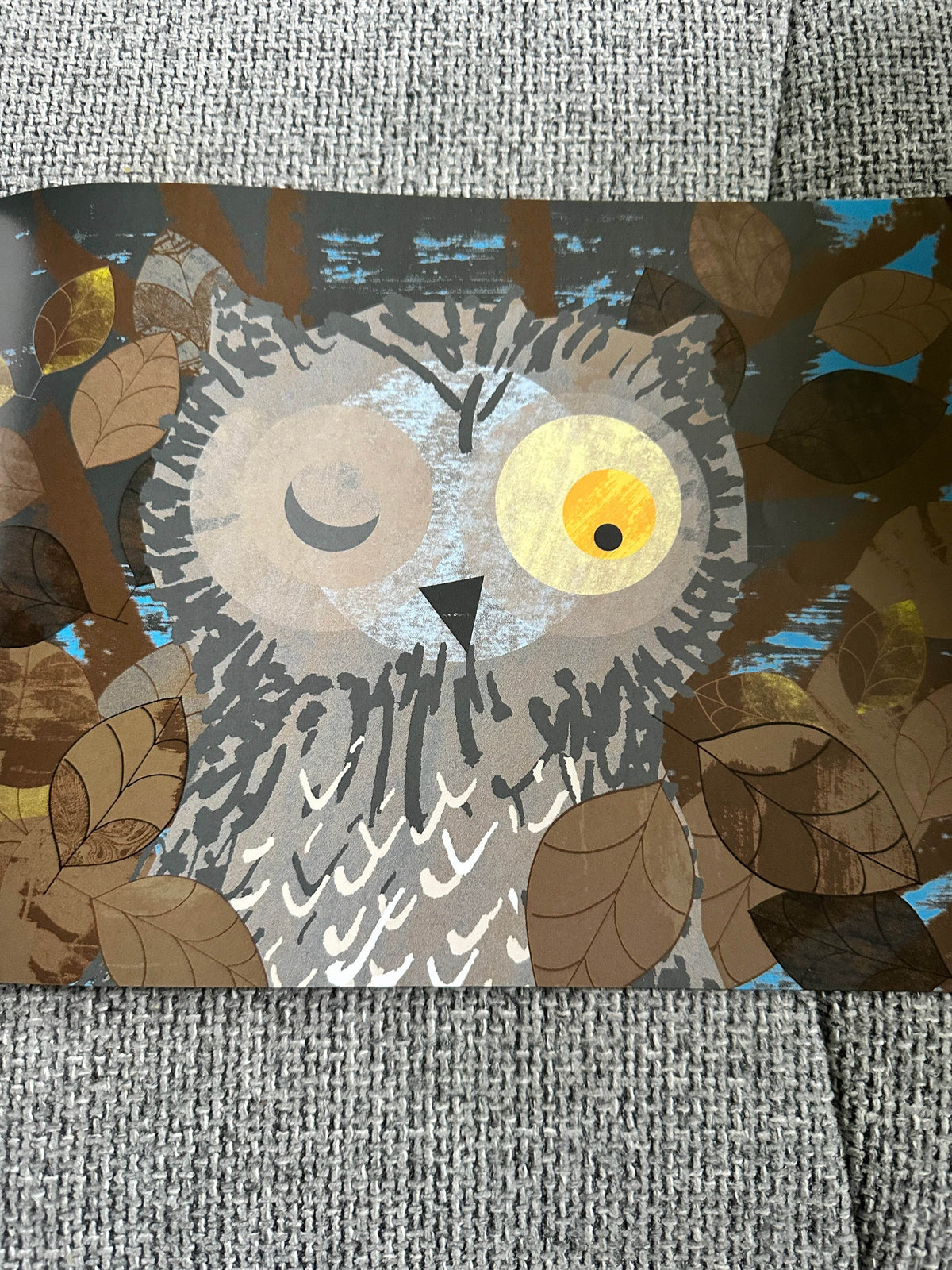 2009*1st* Wow! Said The Owl - Tim Hopgood (McMillan) - Honeyburn Books (UK)