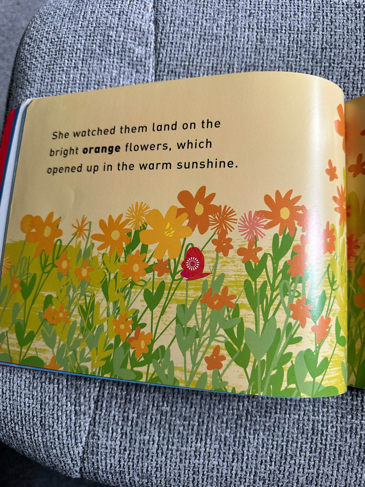 2009*1st* Wow! Said The Owl - Tim Hopgood (McMillan) - Honeyburn Books (UK)