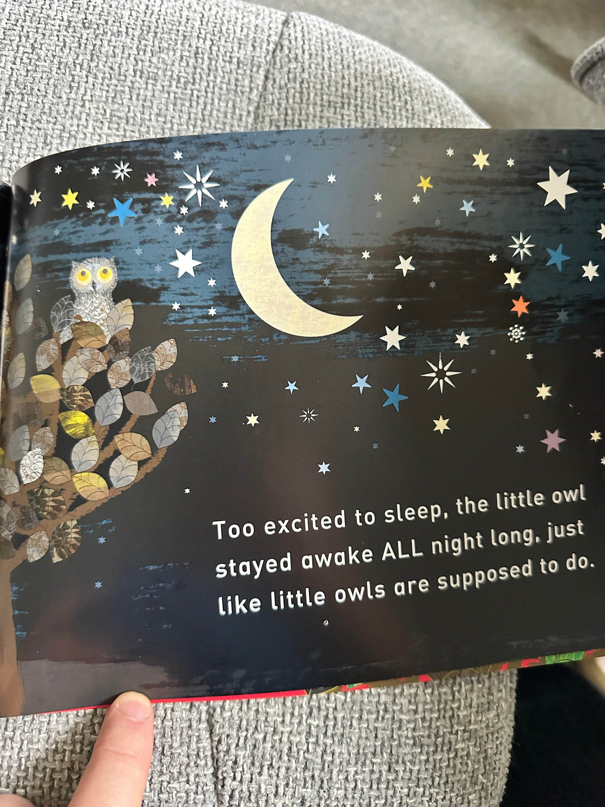 2009*1st* Wow! Said The Owl - Tim Hopgood (McMillan) - Honeyburn Books (UK)