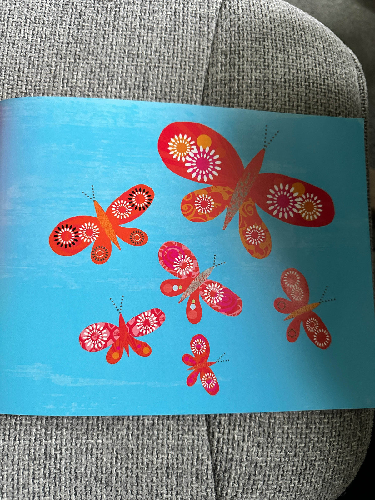 2009*1st* Wow! Said The Owl - Tim Hopgood (McMillan) - Honeyburn Books (UK)