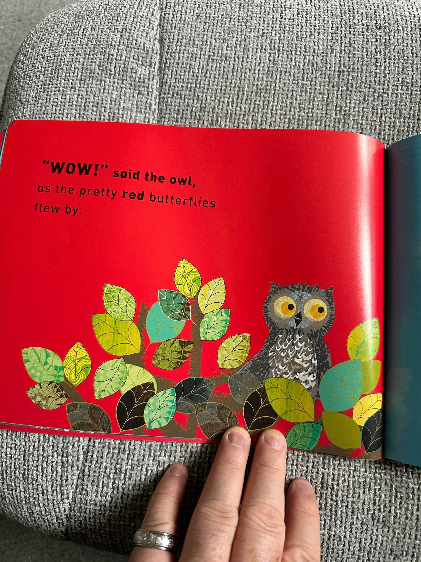 2009*1st* Wow! Said The Owl - Tim Hopgood (McMillan) - Honeyburn Books (UK)
