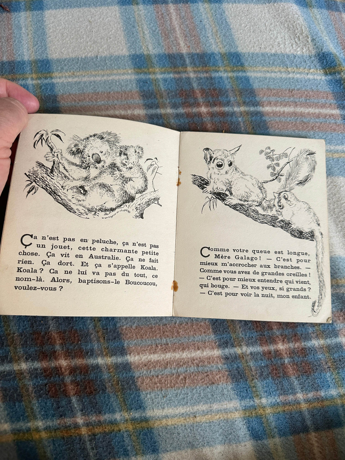1942 Drôles de Bêtes(Les Petits Pėre Castor)Paul François(Rojankovsky illustration)Flammarion Publisher - Honeyburn Books (UK)