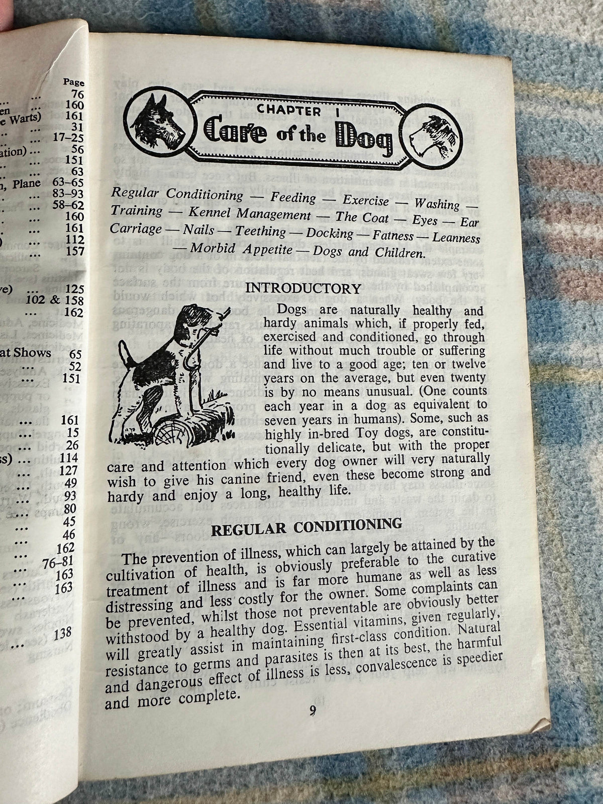 1961 Sherley’s Famous Dog Book26th Edition - Honeyburn Books (UK)