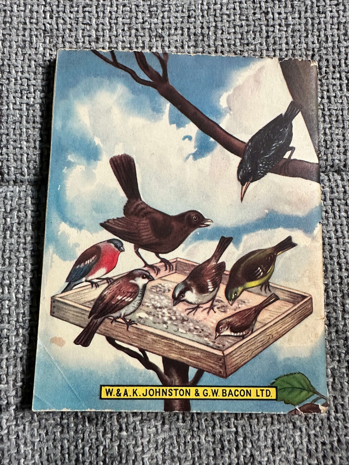 1963 Birds At Home (Little Books 17) Enid Blyton (W. & A. K. Johnston & G. W. Bacon Ltd)