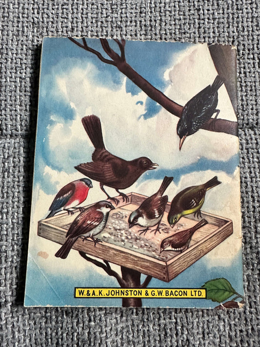 1963 Birds At Home (Little Books 17) Enid Blyton (W. & A. K. Johnston & G. W. Bacon Ltd)