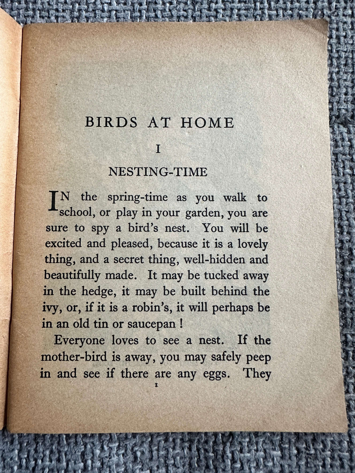 1963 Birds At Home (Little Books 17) Enid Blyton (W. & A. K. Johnston & G. W. Bacon Ltd)