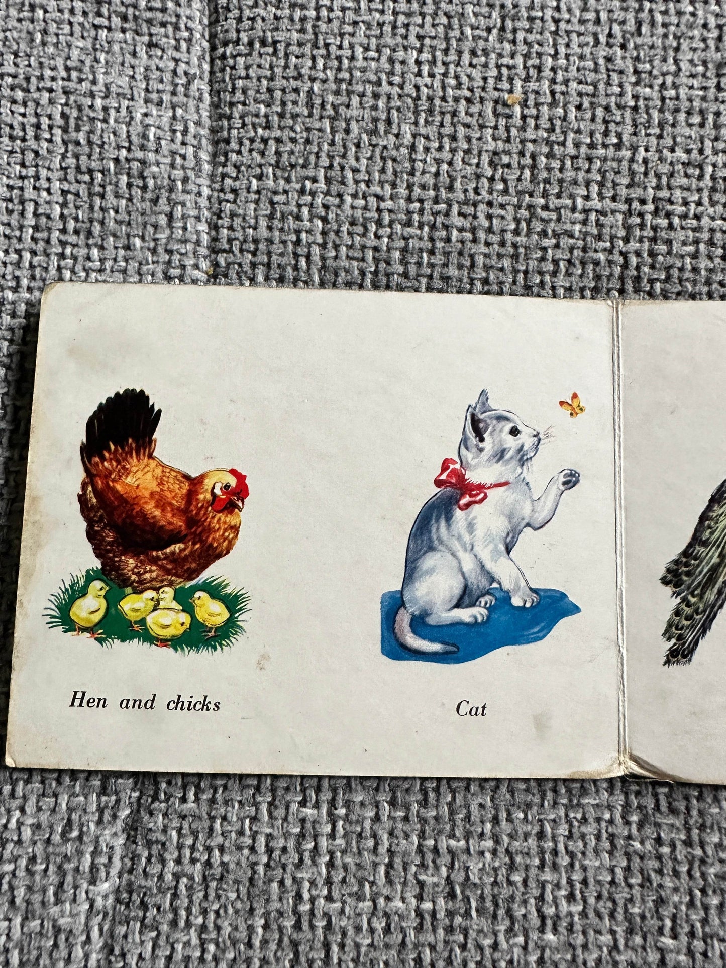 1950 Domestic Pets - W. F. Graham ( Northampton) Ltd printed in West Germany - Honeyburn Books (UK)
