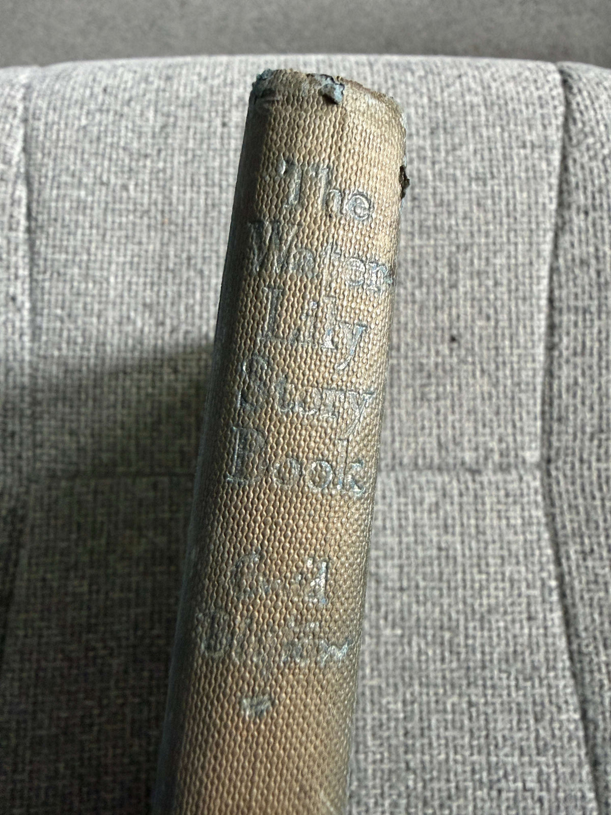 1953 The Water-Lily Story Book (Foyle’s Flower Story Books) Enid Blyton (Hilda Boswell illust) John Gifford