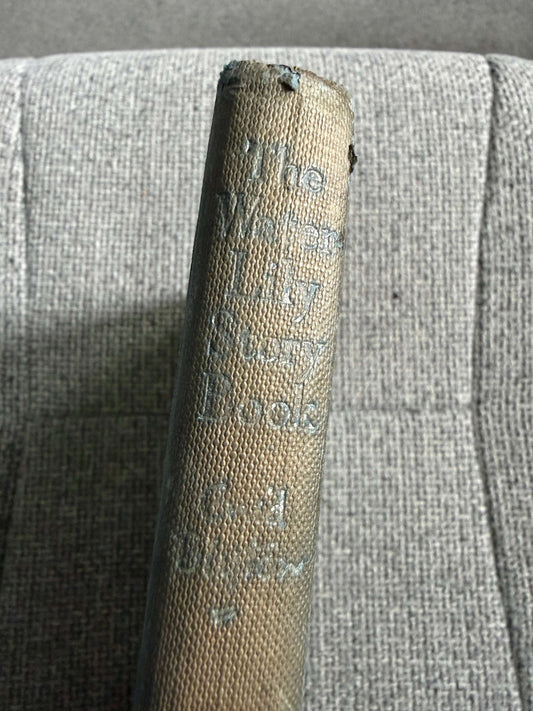 1953 The Water-Lily Story Book (Foyle’s Flower Story Books) Enid Blyton (Hilda Boswell illust) John Gifford