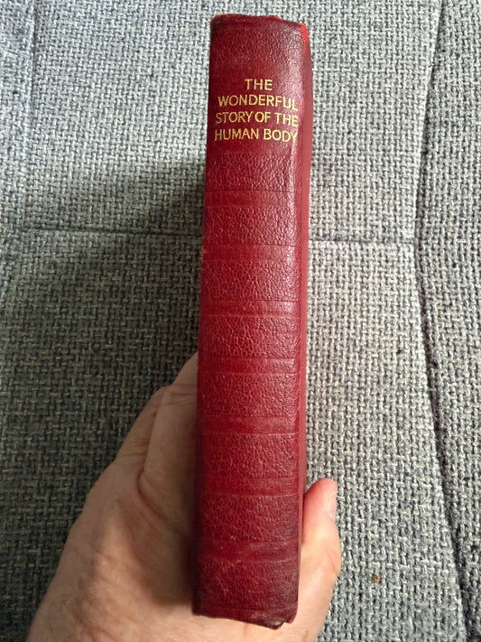 1938 The Wonderful Story Of The Human Body - A Well-Known Physician (W. Thornton Shiells illustrated) Oldham’s Press Ltd.