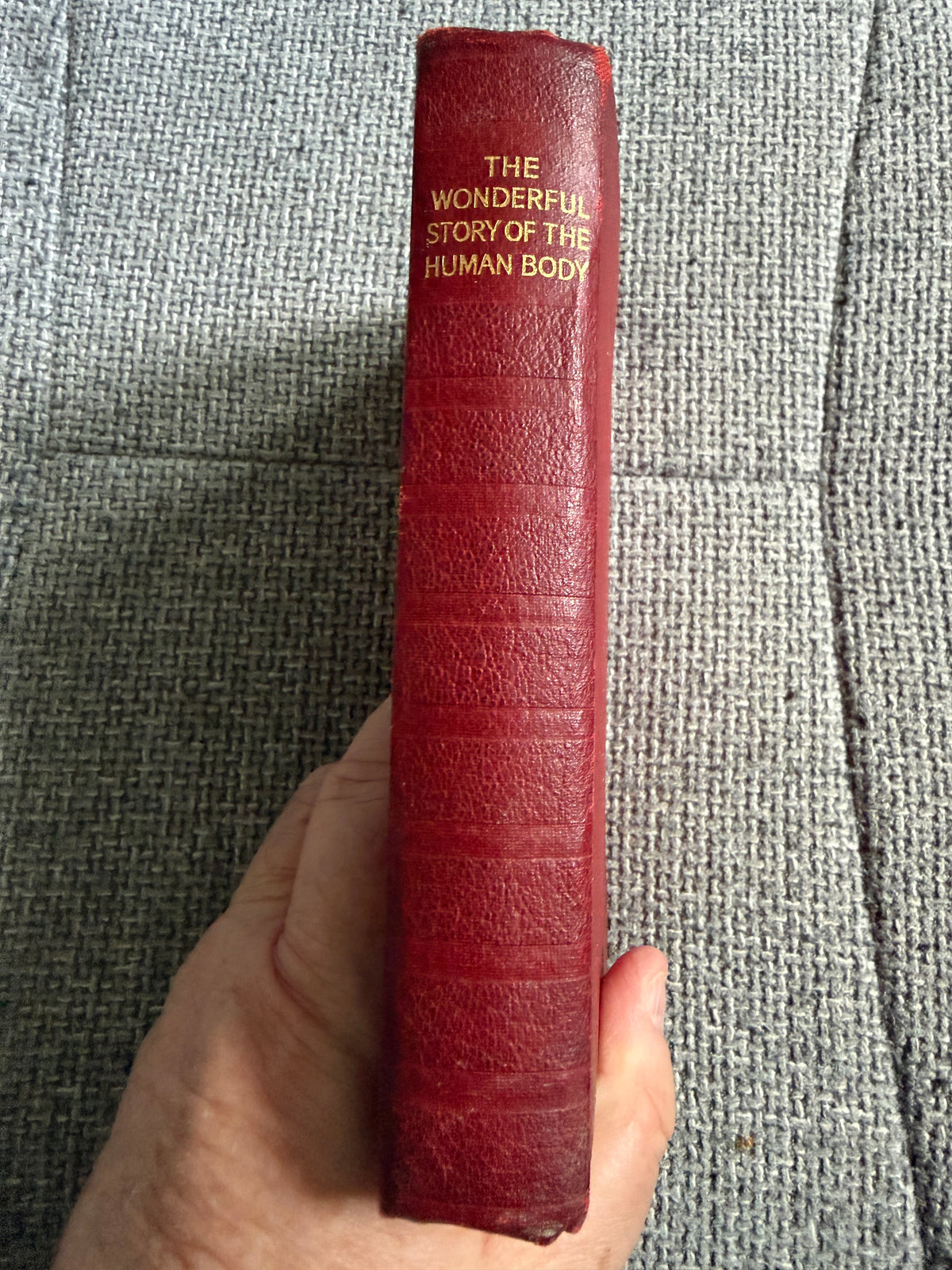 1938 The Wonderful Story Of The Human Body - A Well-Known Physician (W. Thornton Shiells illustrated) Oldham’s Press Ltd. - Honeyburn Books (UK)