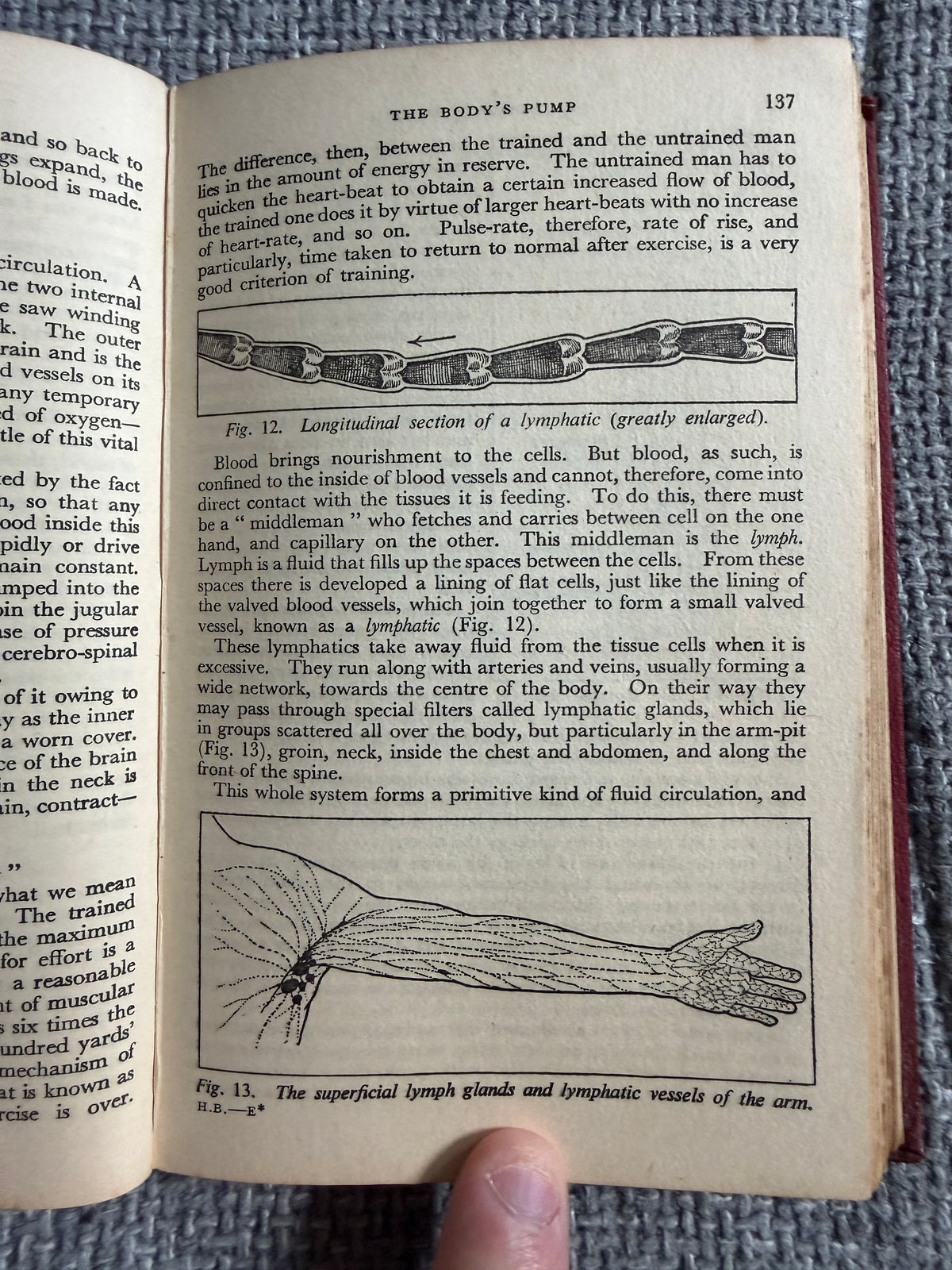 1938 The Wonderful Story Of The Human Body - A Well-Known Physician (W. Thornton Shiells illustrated) Oldham’s Press Ltd. - Honeyburn Books (UK)