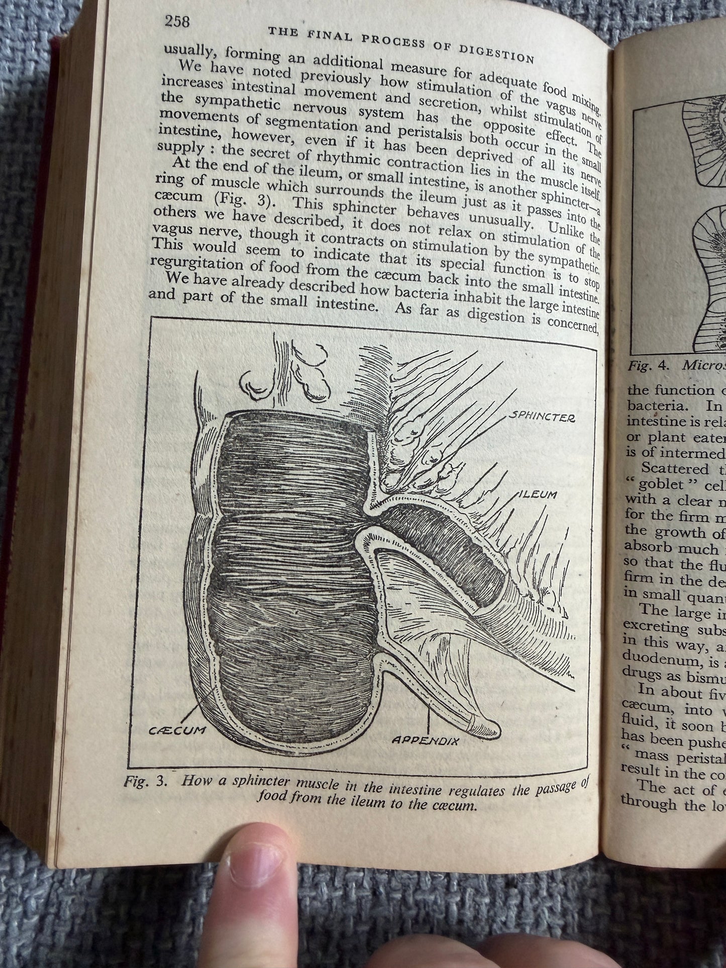 1938 The Wonderful Story Of The Human Body - A Well-Known Physician (W. Thornton Shiells illustrated) Oldham’s Press Ltd.
