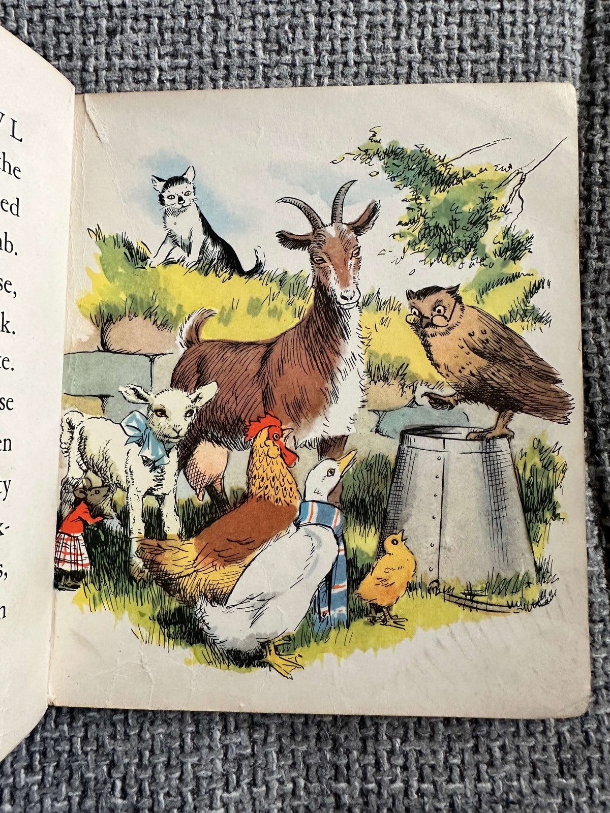 1960’s Henry Goes Visiting (BlackBerry Farm Books) Jane Pilgrim (F. Stocks May Illust) Brockhampton Press