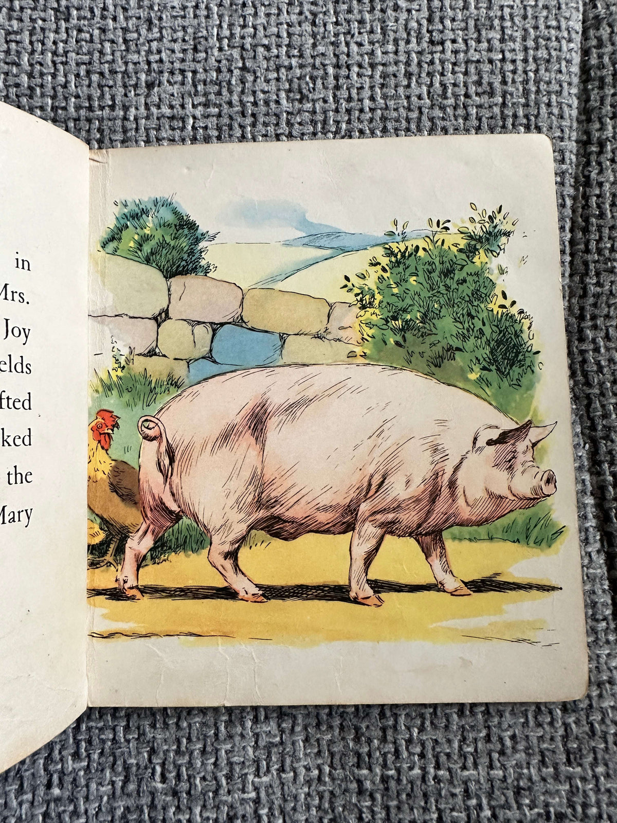 1960’s Henry Goes Visiting (BlackBerry Farm Books) Jane Pilgrim (F. Stocks May Illust) Brockhampton Press