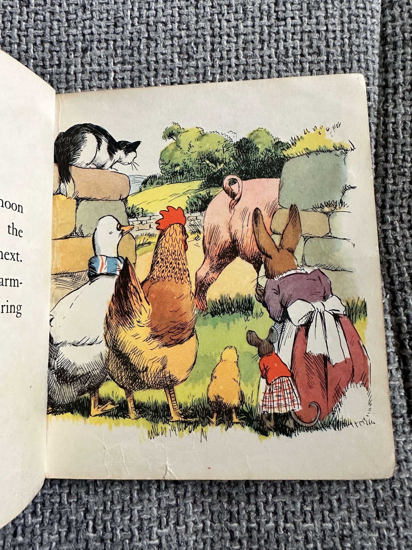 1960’s Henry Goes Visiting (BlackBerry Farm Books) Jane Pilgrim (F. Stocks May Illust) Brockhampton Press