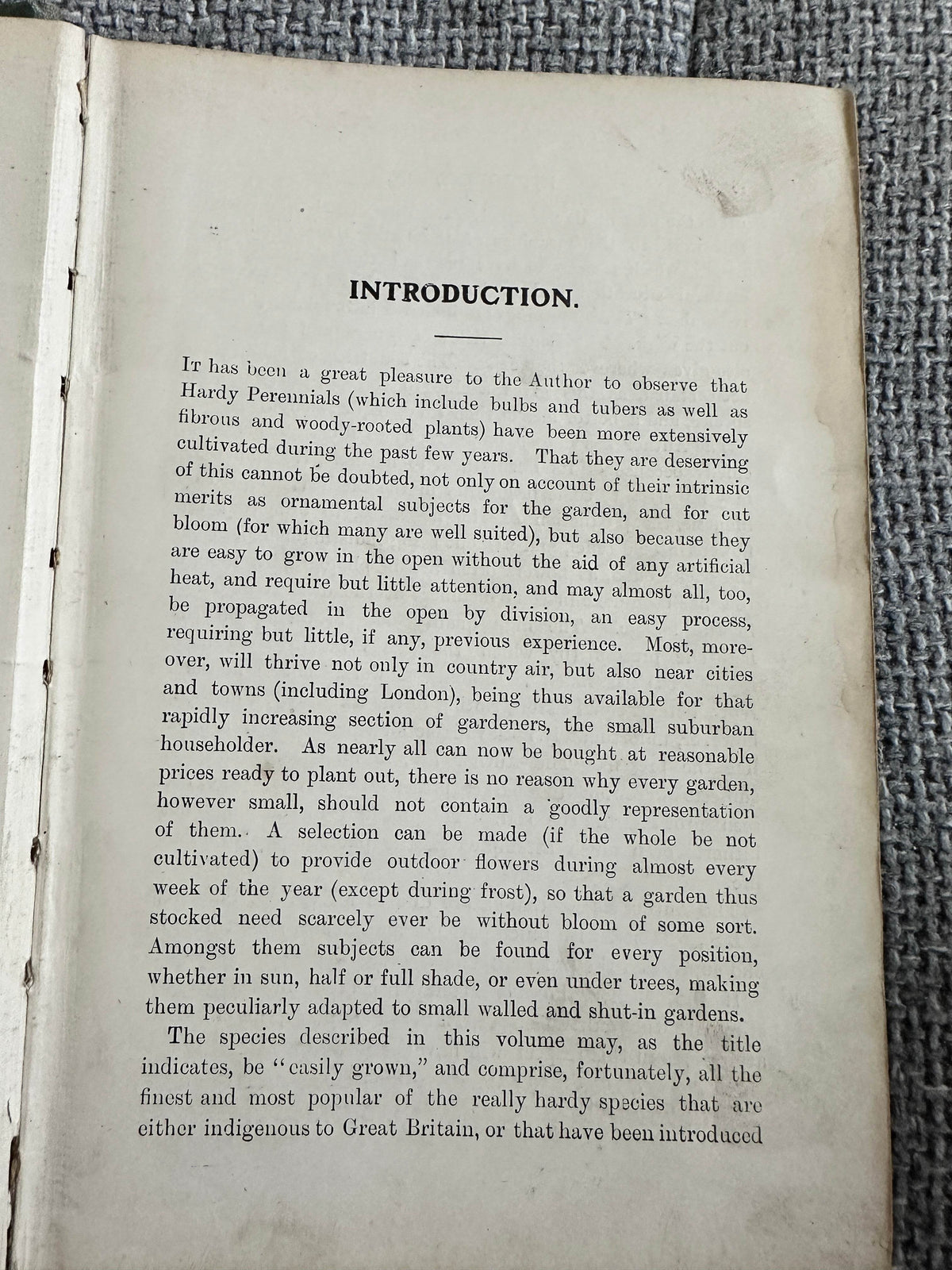 1902*1st* Easily Grown Hardy Perennials - George H. Vos & T. W. Sanders (W. H. & L. Collingridge) - Honeyburn Books (UK)