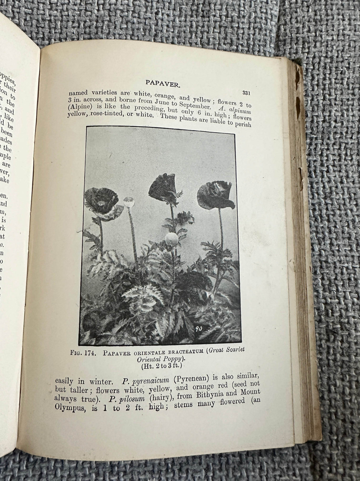 1902*1st* Easily Grown Hardy Perennials - George H. Vos & T. W. Sanders (W. H. & L. Collingridge) - Honeyburn Books (UK)