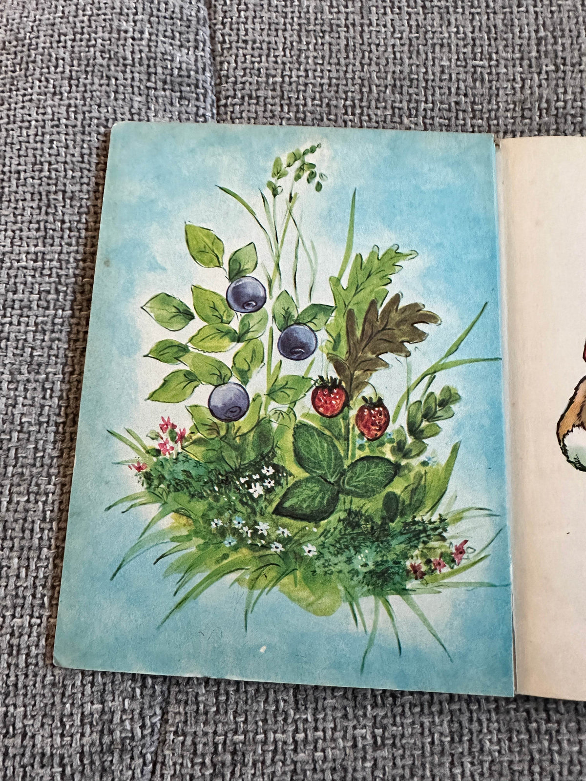1949 Five Little Rabbits (Diamond Series) Litor Publishers - Honeyburn Books (UK)