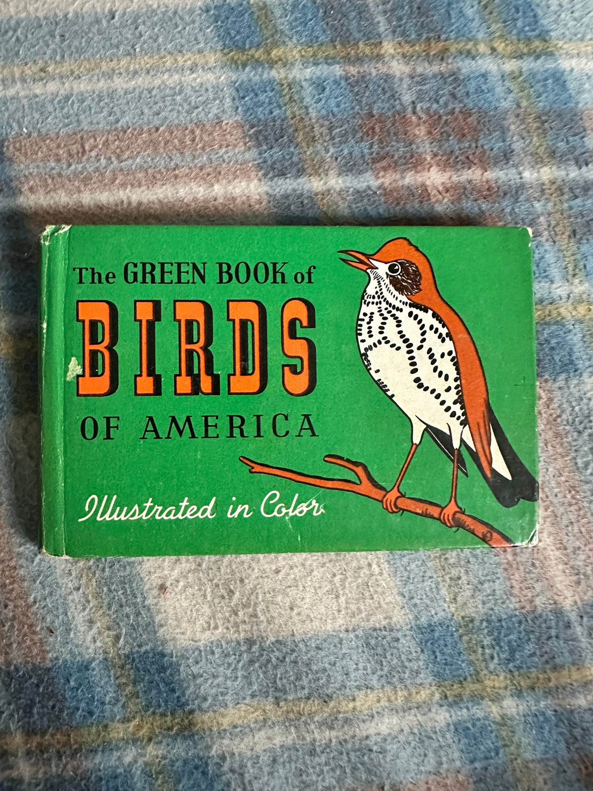 1954 The Green Book Of Birds Of America - Frank G. Ashbrook(Paul Moller illustration)Whitman Publishing - Honeyburn Books (UK)