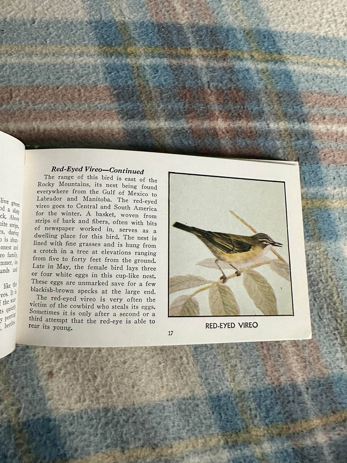 1954 The Green Book Of Birds Of America - Frank G. Ashbrook(Paul Moller illustration)Whitman Publishing - Honeyburn Books (UK)