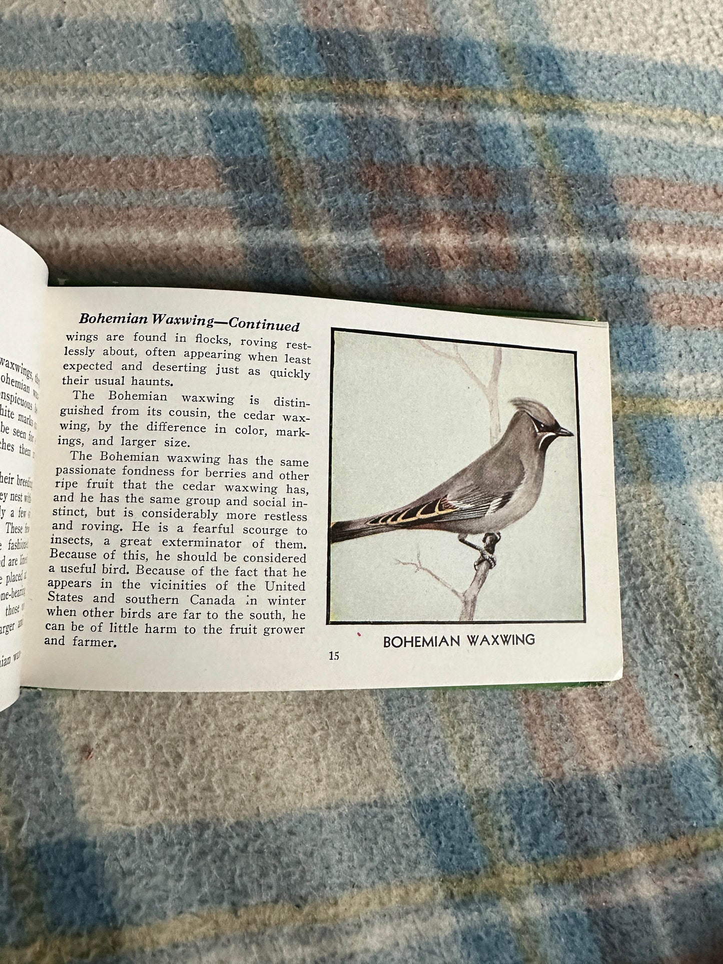 1954 The Green Book Of Birds Of America - Frank G. Ashbrook(Paul Moller illustration)Whitman Publishing - Honeyburn Books (UK)