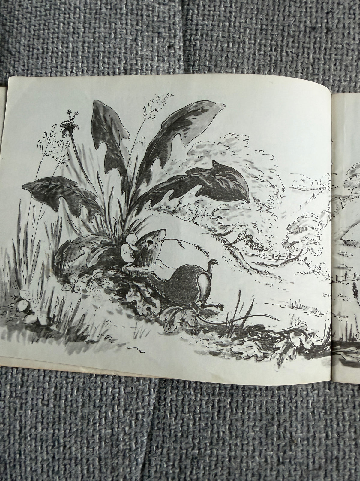 1971 Tim Mouse - Judy Brook (Written & illust) Picture Puffin - Honeyburn Books (UK)