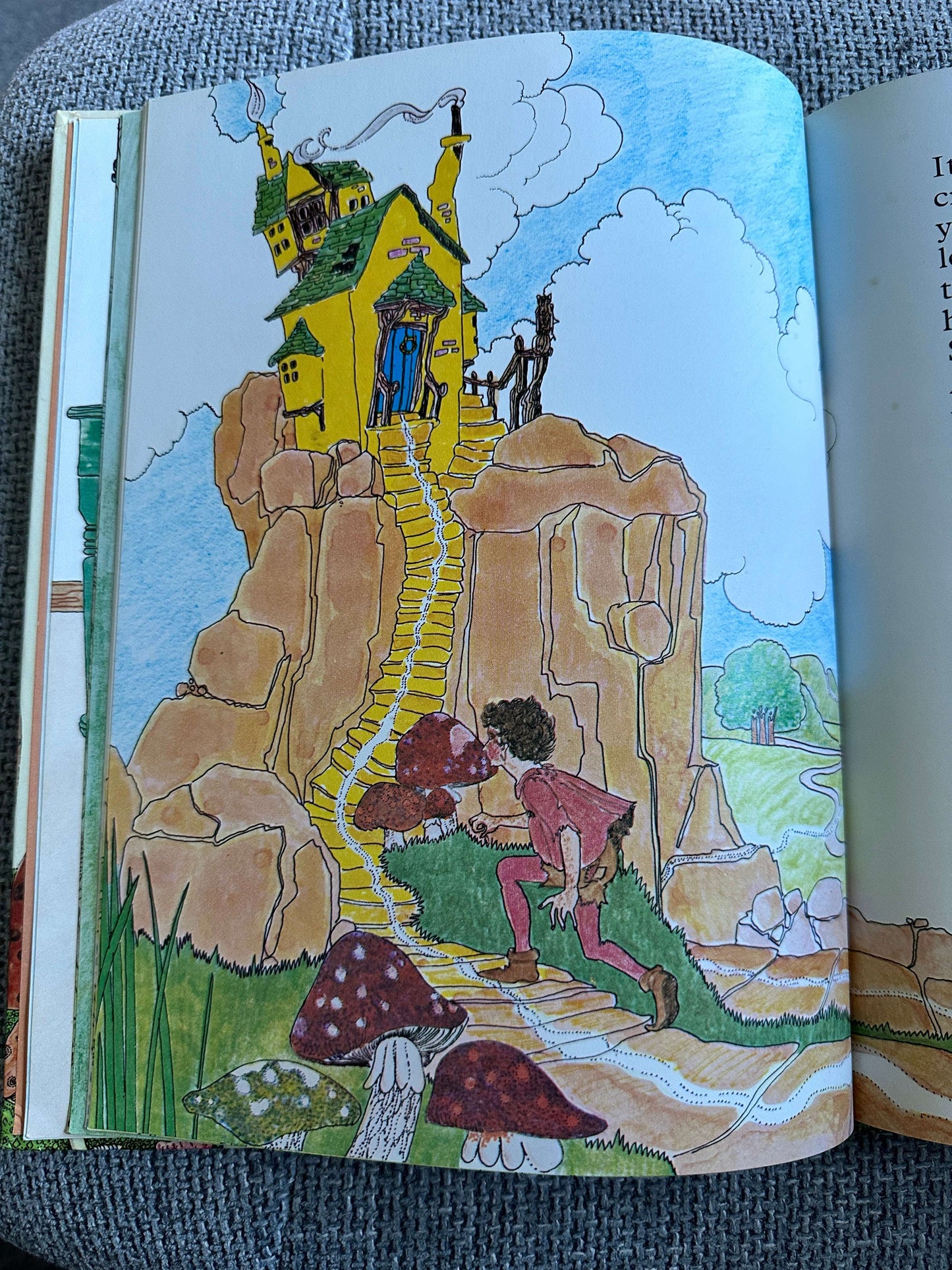 1974 Snicker The Brownie - Enid Blyton (Andree Cherille Mayhew Illust) Hodder Causton Ltd Publisher