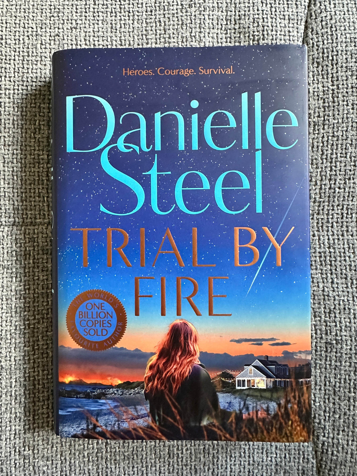 2024 Trial By Fire - Danielle Steel (MacMillan) - Honeyburn Books (UK)
