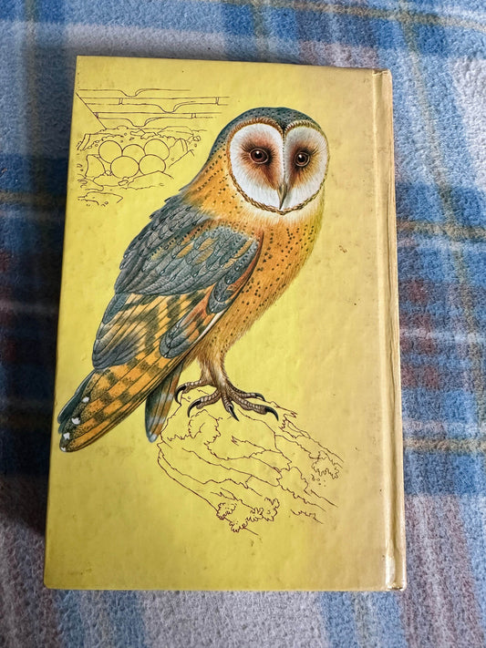 1978 Garden & Field Birds Eggs & Nests - Jiři Felix(Květoslav Hísek Illust) Octopus Books - Honeyburn Books (UK)
