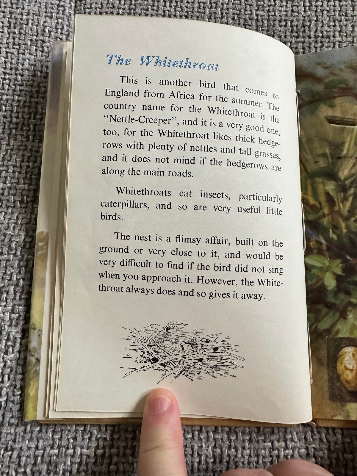 1960’s The Third Book Of British Birds & Their Nests (Ladybird 536 Series) Brian Vesey-Fitzgerald (Roland Green illustration) Wills & Hepworth - Honeyburn Books (UK)