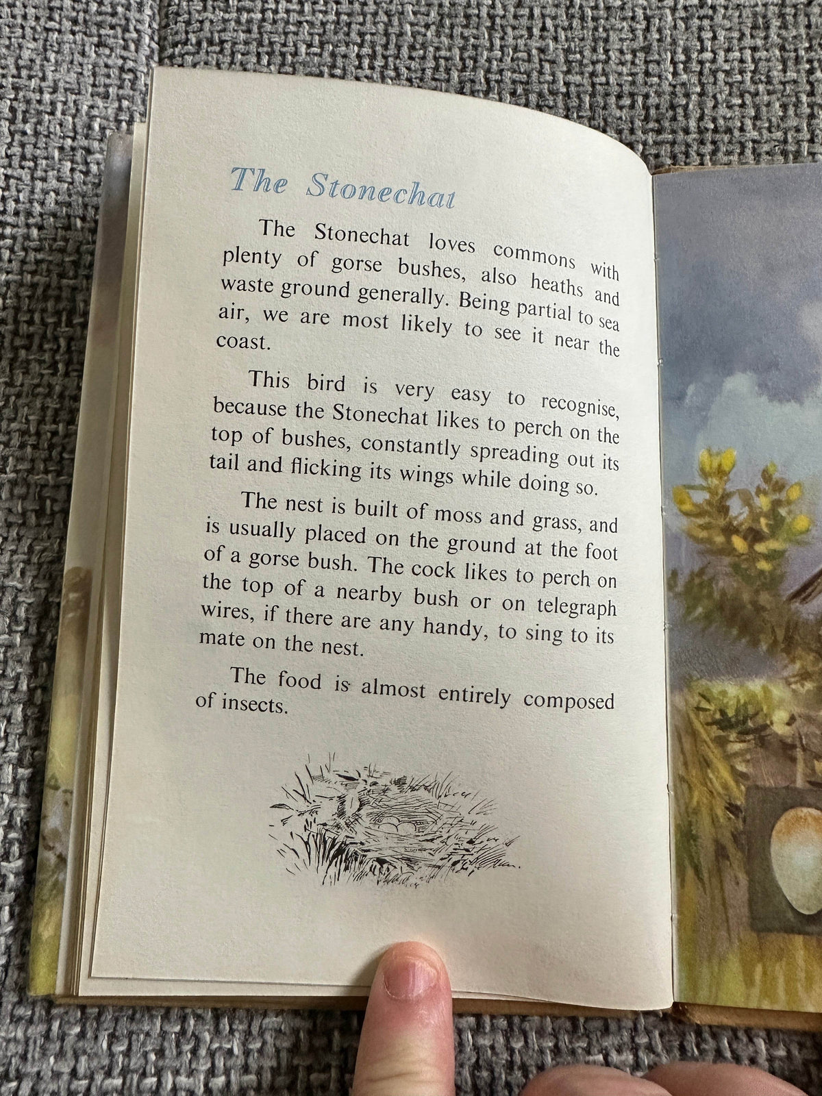 1960’s The Third Book Of British Birds & Their Nests (Ladybird 536 Series) Brian Vesey-Fitzgerald (Roland Green illustration) Wills & Hepworth - Honeyburn Books (UK)