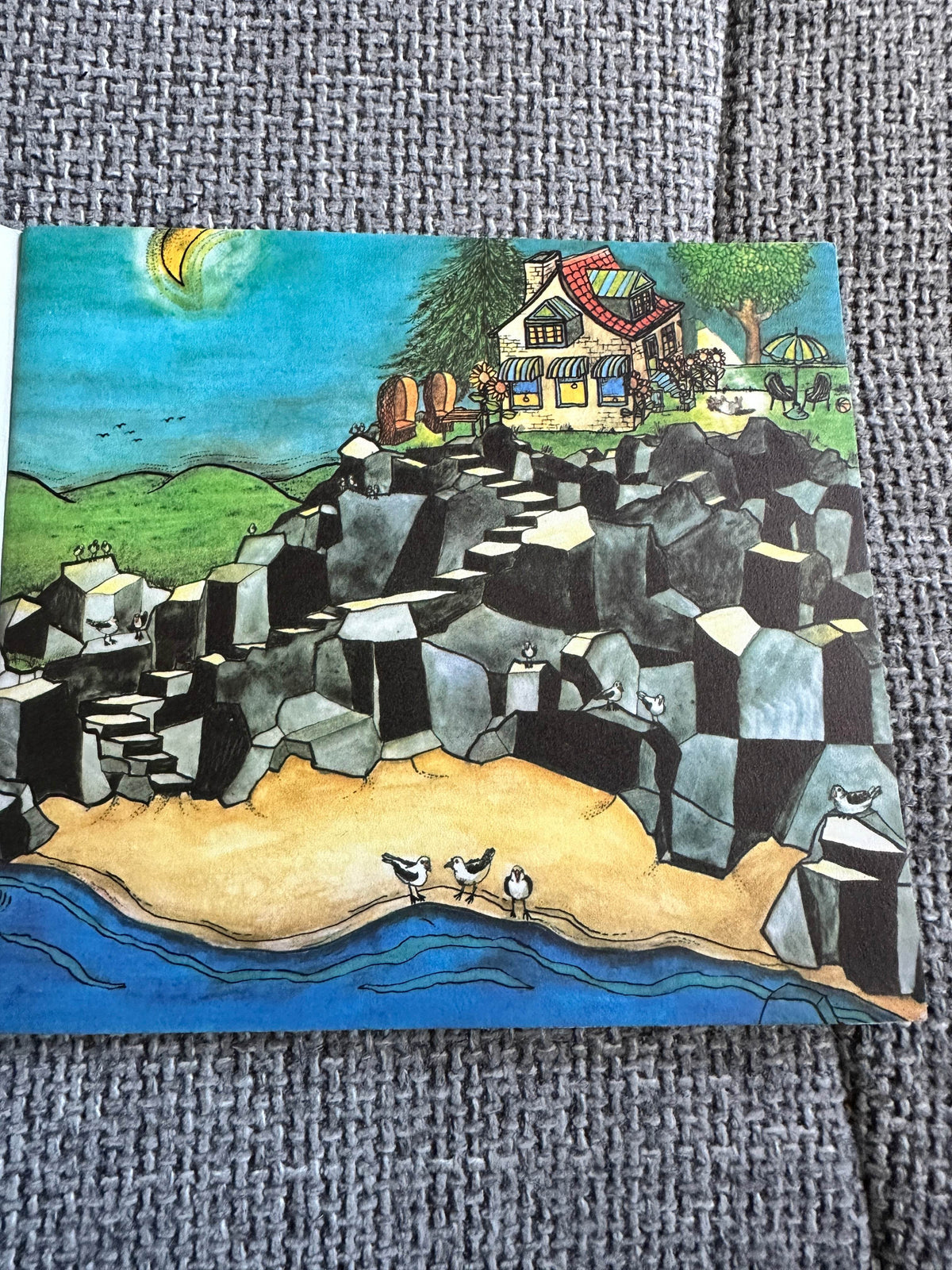 1974 The Seagull (Children Of Nature Series No4) Irene Cockroft (Guida Joseph Illust) A Fabbri Book - Honeyburn Books (UK)