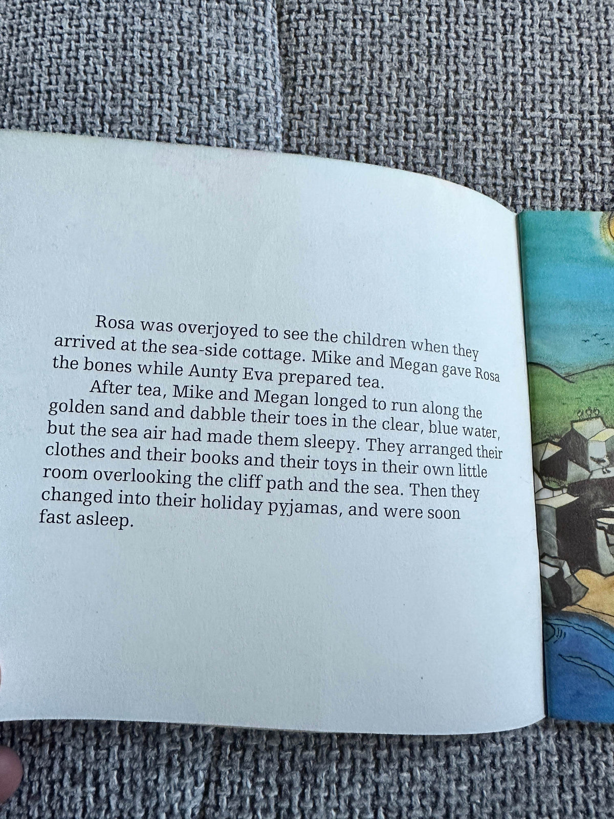 1974 The Seagull (Children Of Nature Series No4) Irene Cockroft (Guida Joseph Illust) A Fabbri Book - Honeyburn Books (UK)